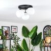 Chehalis Plafondlamp, Kogellampje Wit, 3-lichts