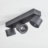 Narel Plafondlamp, Plafondspot LED Zwart, 3-lichts