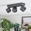 Narel Plafondlamp, Plafondspot LED Zwart, 3-lichts