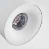 Narel Plafondlamp, Plafondspot LED Wit, 3-lichts