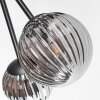 Chehalis Plafondlamp, Kogellampje 55 cm Rookkleurig, 6-lichts