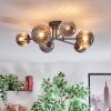 Chehalis Plafondlamp, Kogellampje 55 cm Rookkleurig, 6-lichts