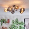 Chehalis Plafondlamp, Kogellampje 55 cm Amber, Rookkleurig, 6-lichts