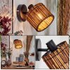 Cando Wandlamp, Muurspot Zwart, 1-licht