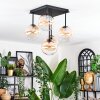 Chehalis Plafondlamp, Kogellampje Amber, Duidelijk, 5-lichts