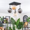 Chehalis Plafondlamp, Kogellampje Amber, Duidelijk, Rookkleurig, 5-lichts