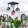 Chehalis Plafondlamp, Kogellampje Blauw, Groen, Duidelijk, Koperkleurig, 5-lichts
