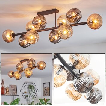 Ripoll Plafondlamp, Kogellampje Amber, Rookkleurig, 10-lichts