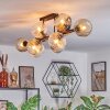 Ripoll Plafondlamp, Kogellampje Amber, Duidelijk, Rookkleurig, 10-lichts