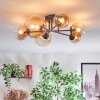 Chehalis Plafondlamp, Kogellampje 62 cm Amber, Duidelijk, 6-lichts
