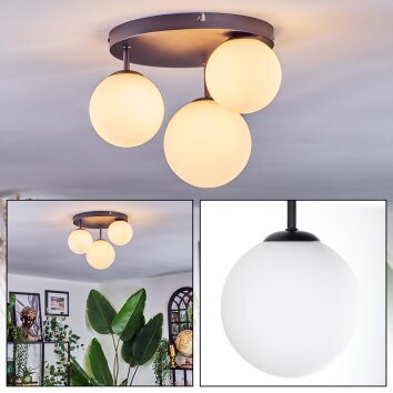Chehalis Plafondlamp, Kogellampje 30 cm Wit, 3-lichts
