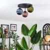 Chehalis Plafondlamp, Kogellampje 30 cm Blauw, Groen, Koperkleurig, 3-lichts