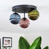 Chehalis Plafondlamp, Kogellampje 30 cm Blauw, Groen, Koperkleurig, 3-lichts