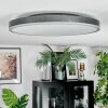 Salmi Plafondlamp, Paneel LED Grijs, Zilver, 1-licht, Afstandsbediening
