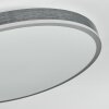 Salmi Plafondlamp, Paneel LED Grijs, Zilver, 1-licht, Afstandsbediening