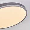 Salmi Plafondlamp, Paneel LED Grijs, Zilver, 1-licht, Afstandsbediening
