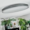 Salmi Plafondlamp, Paneel LED Grijs, Zilver, 1-licht, Afstandsbediening