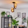 Koyoto Plafondlamp, Kogellampje 31 cm Amber, Duidelijk, Rookkleurig, 4-lichts