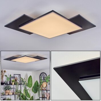 Barullu Plafondlamp, Paneel LED Zwart, Wit, 1-licht