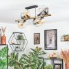 Koyoto Plafondlamp, Kogellampje Goud, Zwart, 8-lichts