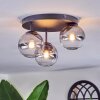 Chehalis Plafondlamp, Kogellampje 30.5 cm Duidelijk, Rookkleurig, 3-lichts