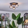 Chehalis Plafondlamp, Kogellampje 30.5 cm Duidelijk, Rookkleurig, 3-lichts