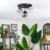 Chehalis Plafondlamp, Kogellampje 30 cm Duidelijk, Rookkleurig, 3-lichts