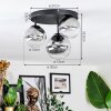 Chehalis Plafondlamp, Kogellampje 30 cm Duidelijk, Rookkleurig, 3-lichts