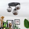 Chehalis Plafondlamp, Kogellampje 30 cm Rookkleurig, 3-lichts