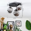 Chehalis Plafondlamp, Kogellampje 30 cm Rookkleurig, 3-lichts
