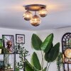 Chehalis Plafondlamp, Kogellampje 30 cm Rookkleurig, 3-lichts