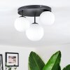Chehalis Plafondlamp, Kogellampje 30 cm Wit, 3-lichts