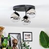 Chehalis Plafondlamp, Kogellampje 30.5 cm Chroom, Duidelijk, Rookkleurig, 3-lichts