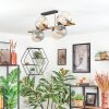 Koyoto Plafondlamp, Kogellampje Goud, Zwart, 8-lichts