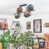 Koyoto Plafondlamp, Kogellampje Goud, Zwart, 8-lichts
