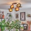 Koyoto Plafondlamp, Kogellampje Goud, Zwart, 8-lichts