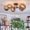 Gastor Plafondlamp, Kogellampje Rookkleurig, 6-lichts