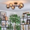 Gastor Plafondlamp, Kogellampje Rookkleurig, 6-lichts