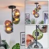 Gastor Plafondlamp, Kogellampje 32 cm Blauw, Chroom, Groen, Duidelijk, Koperkleurig, Rookkleurig, 4-lichts