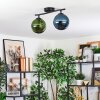 Gastor Plafondlamp, Kogellampje Blauw, Groen, 2-lichts
