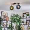 Gastor Plafondlamp, Kogellampje Blauw, Groen, 2-lichts