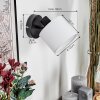Alsen Wandlamp, Muurspot Zwart, 1-licht