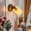 Fallhagen Wandlamp, Muurspot Zwart, 1-licht