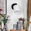 Fallhagen Wandlamp, Muurspot Zwart, 1-licht
