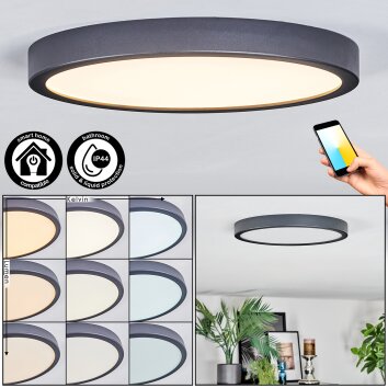 Finsrud Plafondlamp, Paneel LED Zwart, 1-licht