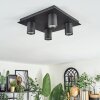 Udena Plafondlamp LED Zwart, 4-lichts
