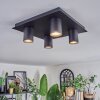 Udena Plafondlamp LED Zwart, 4-lichts
