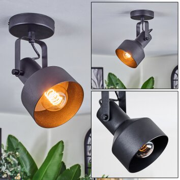 Tylar Plafondlamp, Plafondspot Zwart, 1-licht