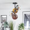 Koyoto Plafondlamp, Kogellampje 31 cm Goud, Duidelijk, Koperkleurig, Rookkleurig, 4-lichts