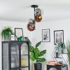 Koyoto Plafondlamp, Kogellampje 31 cm Goud, Duidelijk, Koperkleurig, Rookkleurig, 4-lichts